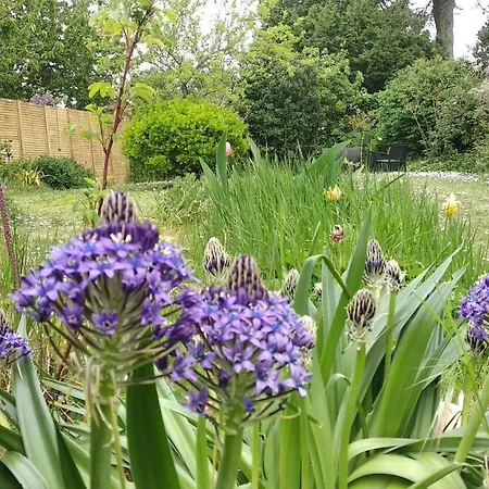 De L'escapade * Frossay